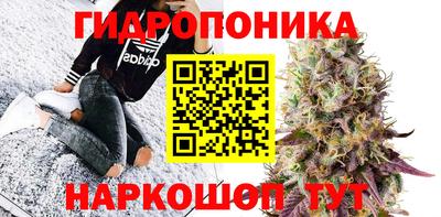 меф Бердск