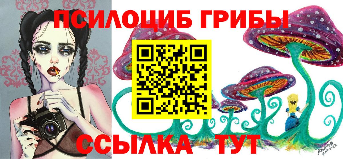 Галлюциногенные грибы Cubensis Рассказово