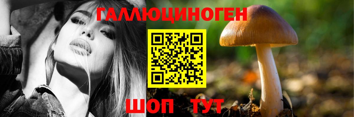 Псилоцибиновые грибы Cubensis  наркотики  Вход с VPN  Рассказово  Галлюциногенные грибы Psilocybine cubensis 